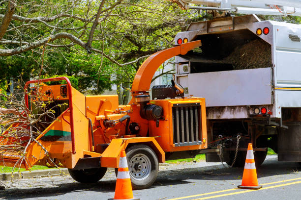 Best Tree and Shrub Care  in Stromsburg, NE